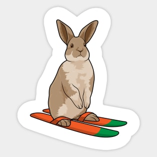 Rabbit as Skier with Ski Sticker